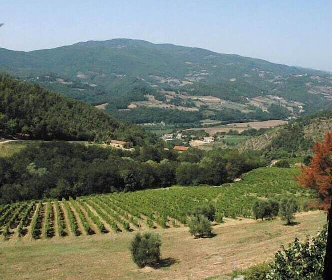 בית מלון כפרי Fattoria Il Lago