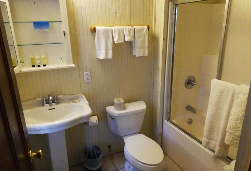 בית מלון כפרי The Woods Inn