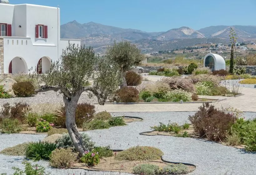 Olives & Rocks Naxian Villas