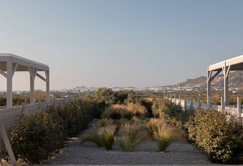 Olives & Rocks Naxian Villas