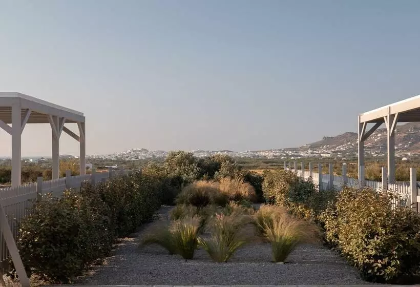 Olives & Rocks Naxian Villas