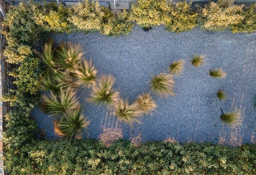 Olives & Rocks Naxian Villas