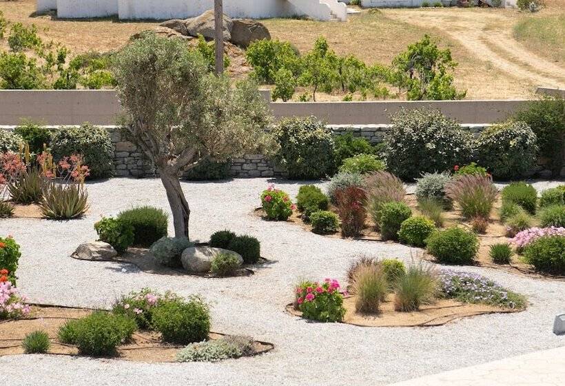 Olives & Rocks Naxian Villas