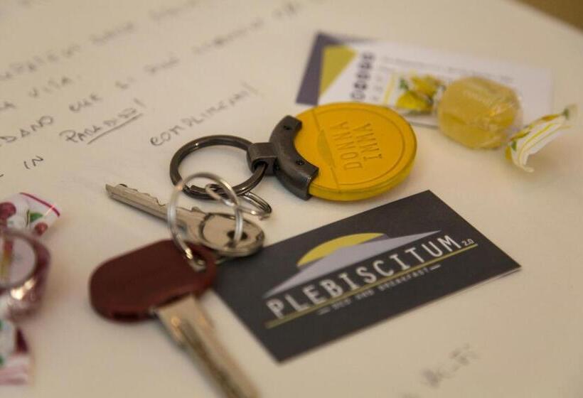 تختخواب و صبحانه Plebiscitum 2.0