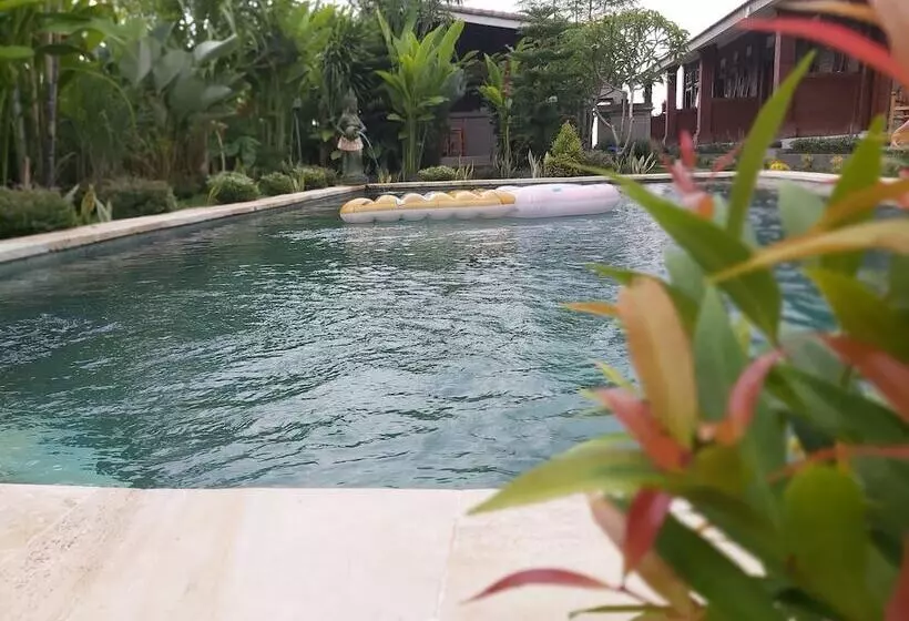 Majatalo Ayuna Family Ubud