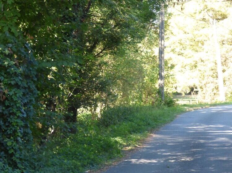 بنسيون La Pomélie