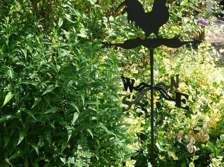 بنسيون La Pomélie