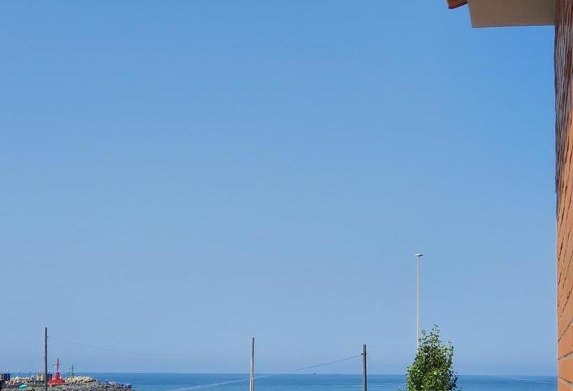 פנסיון Little Rose Guest House