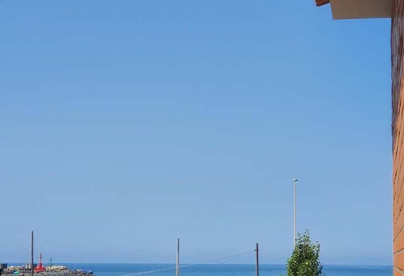 פנסיון Little Rose Guest House