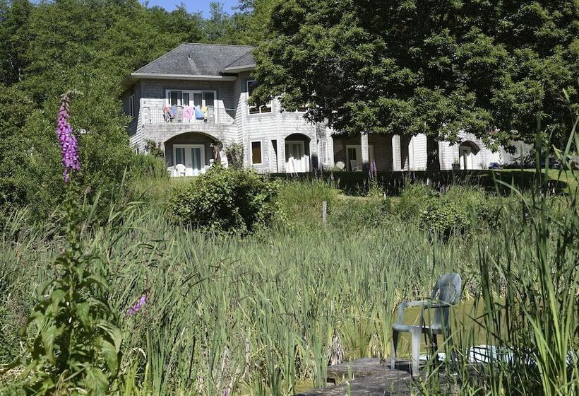 住宿加早餐  Lucky Mud Inn And Disc Golf Resort