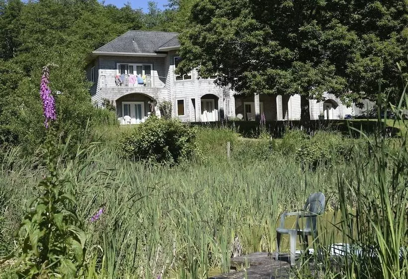 ベッドアンドブレックファースト Lucky Mud Inn And Disc Golf Resort