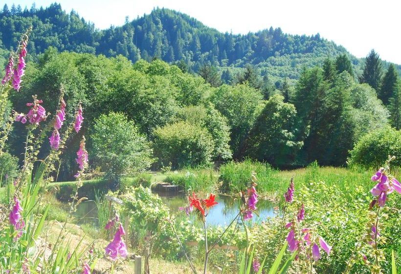 住宿加早餐  Lucky Mud Inn And Disc Golf Resort