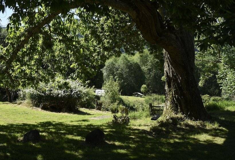 住宿加早餐  Lucky Mud Inn And Disc Golf Resort