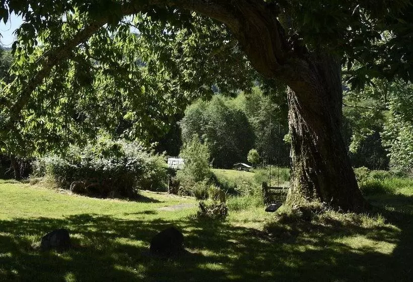 ベッドアンドブレックファースト Lucky Mud Inn And Disc Golf Resort