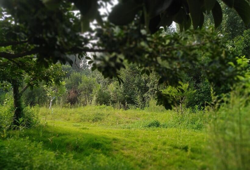 بنسيون Solar Food&drink Campsite