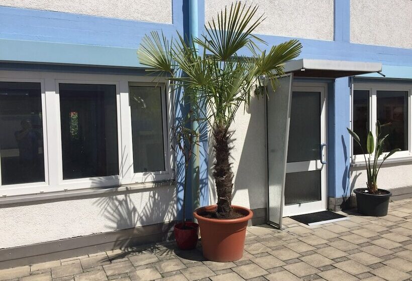 Carli S Bed No Breakfast