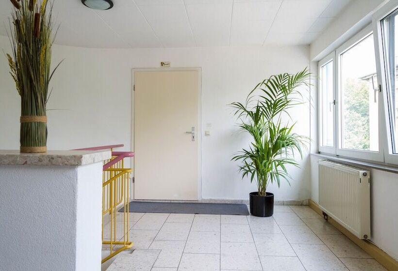 Carli S Bed No Breakfast