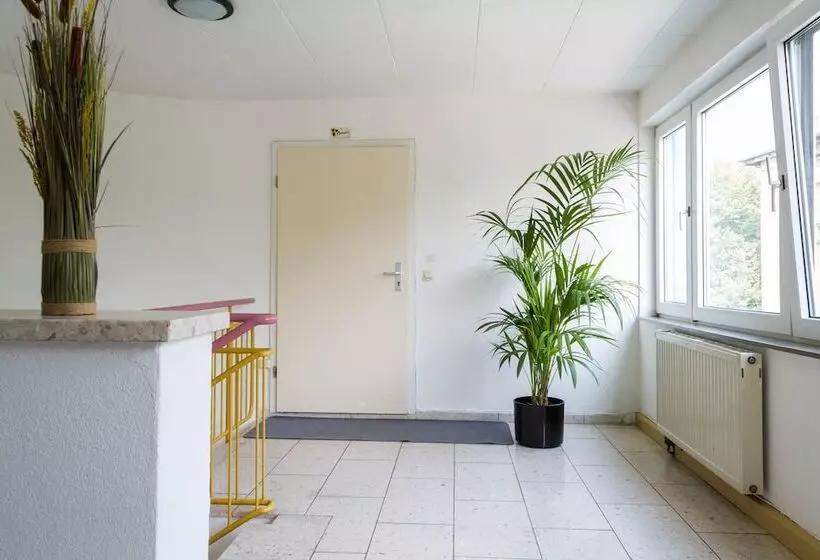 Carli S Bed No Breakfast