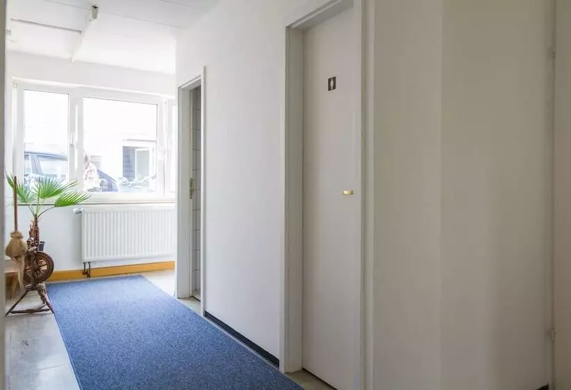 Carli S Bed No Breakfast