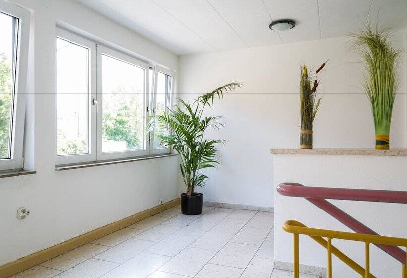 Carli S Bed No Breakfast