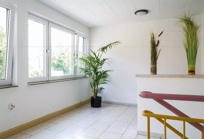 Carli S Bed No Breakfast