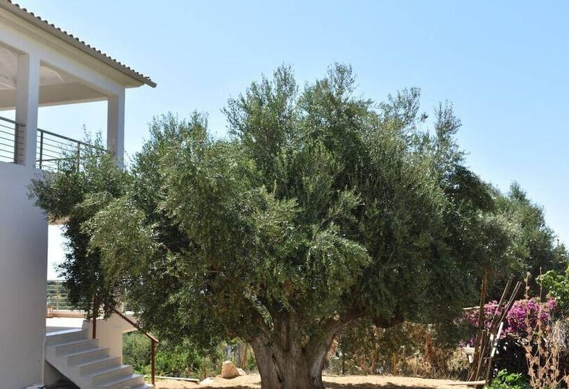 Luxury Modern Seaview Villa 15min From Voidokoilia