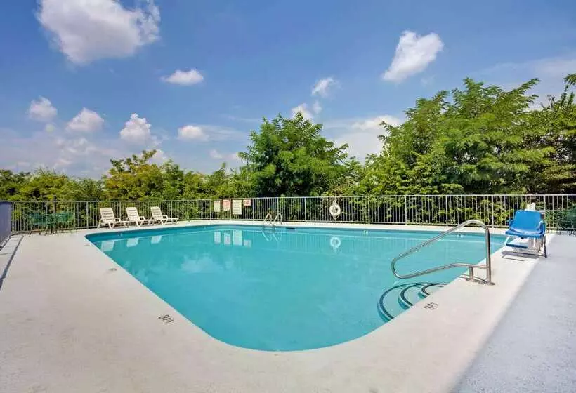 ホテル Super 8 By Wyndham Nashville/ Dntn/ Opryland Area