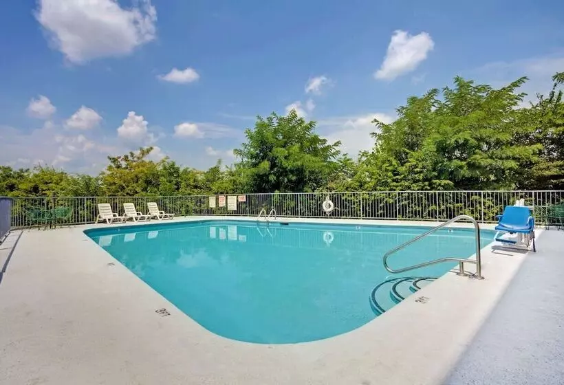 ホテル Super 8 By Wyndham Nashville/ Dntn/ Opryland Area