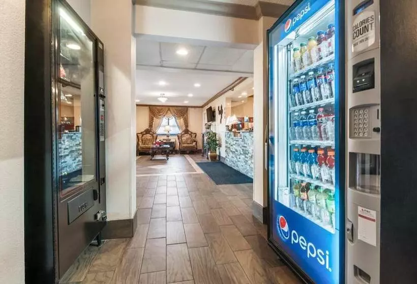 מוטל American Inn & Suites Metro Airport