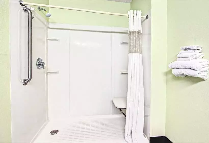 מוטל American Inn & Suites Metro Airport