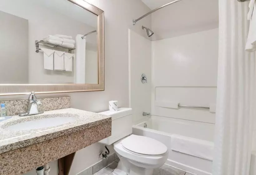 מוטל American Inn & Suites Metro Airport