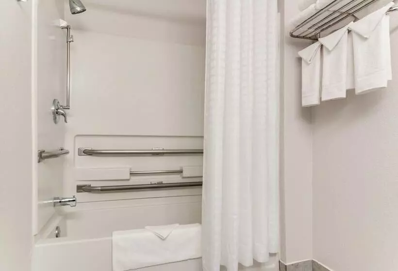 מוטל American Inn & Suites Metro Airport