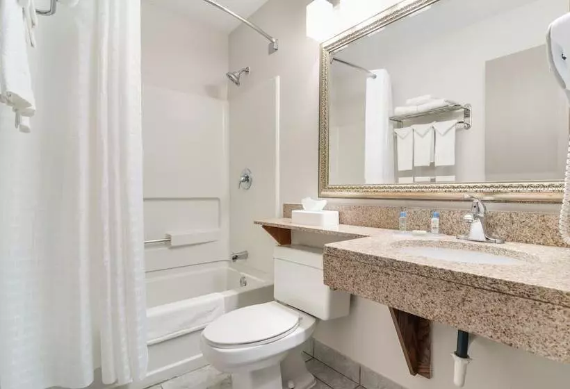 מוטל American Inn & Suites Metro Airport