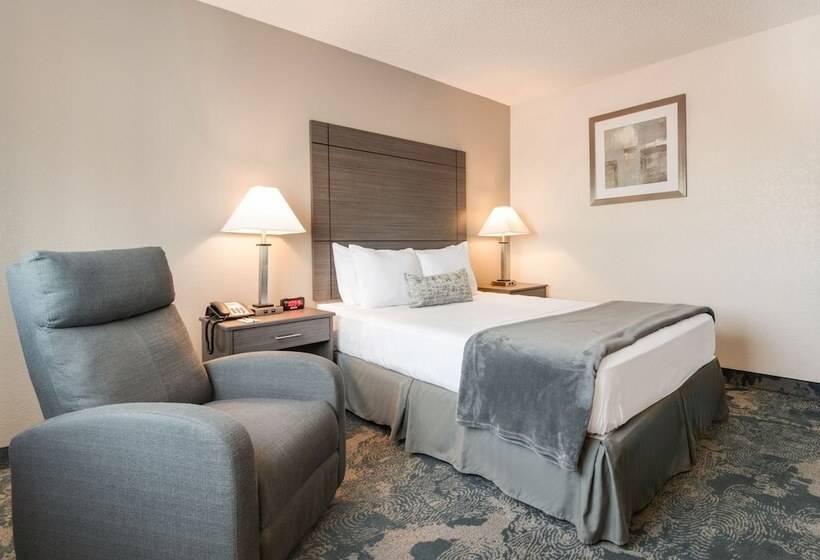 Motel American Inn & Suites Metro Airport