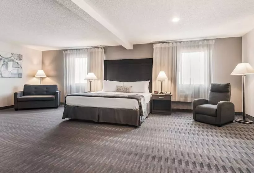 מוטל American Inn & Suites Metro Airport