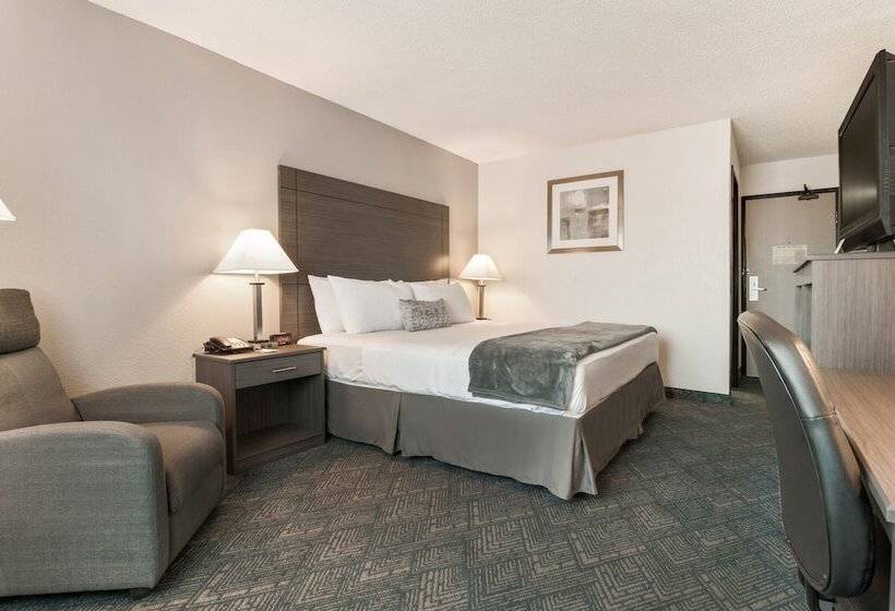 Motel American Inn & Suites Metro Airport