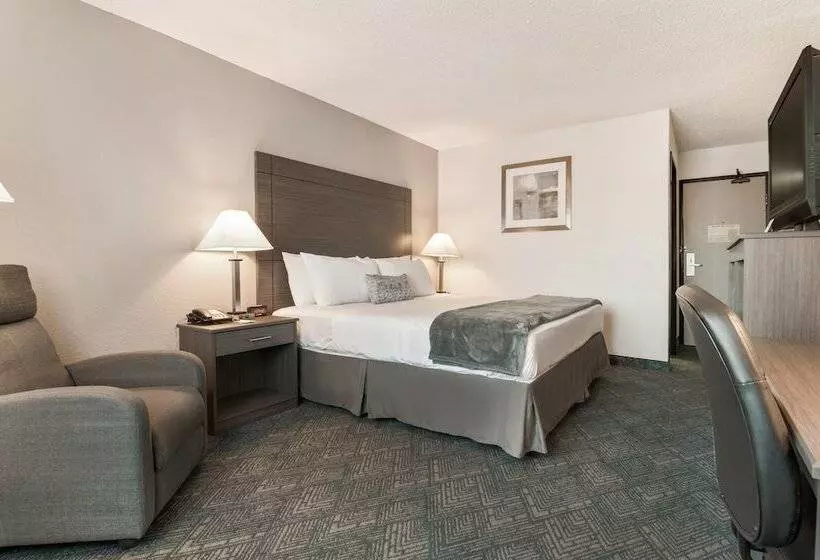 מוטל American Inn & Suites Metro Airport