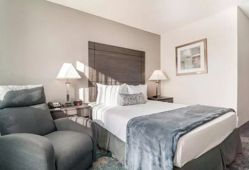 מוטל American Inn & Suites Metro Airport