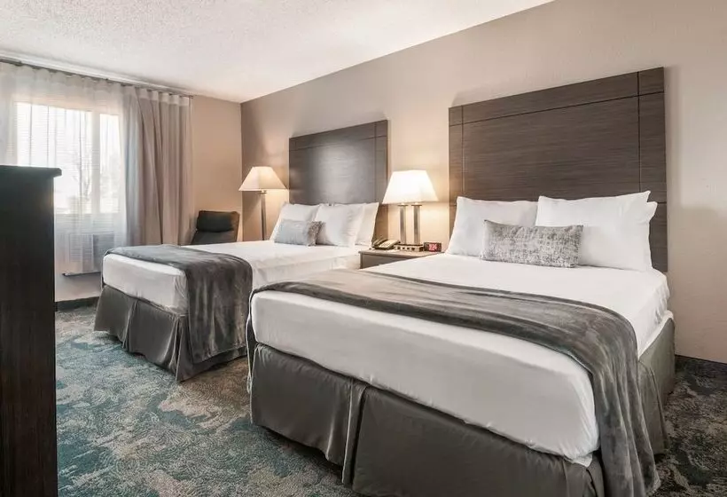 מוטל American Inn & Suites Metro Airport