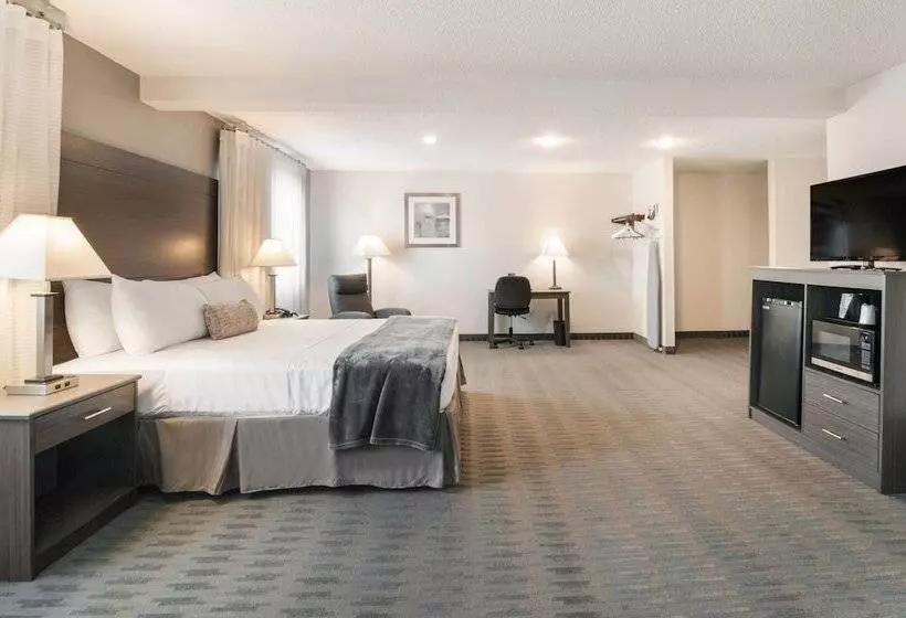 מוטל American Inn & Suites Metro Airport