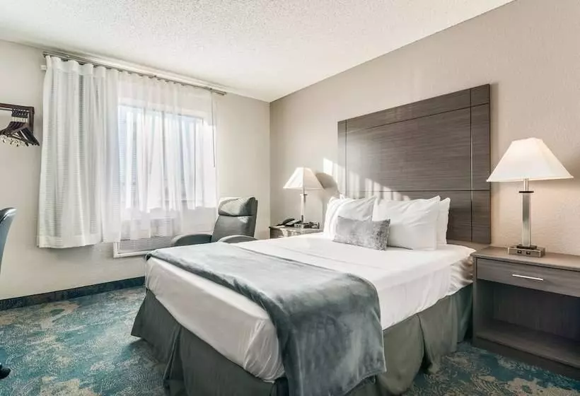 מוטל American Inn & Suites Metro Airport