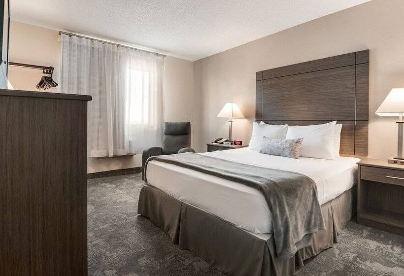 Motel American Inn & Suites Metro Airport