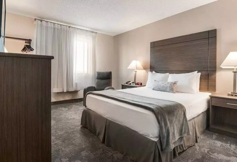 מוטל American Inn & Suites Metro Airport