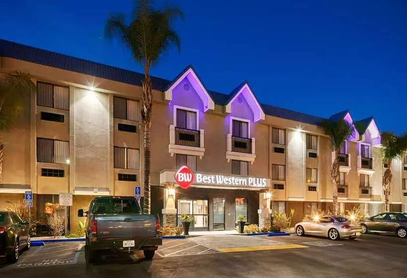 מוטל Best Western Plus Diamond Valley Inn