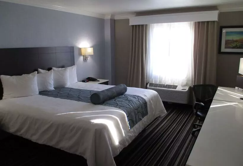 מוטל Best Western Plus Diamond Valley Inn