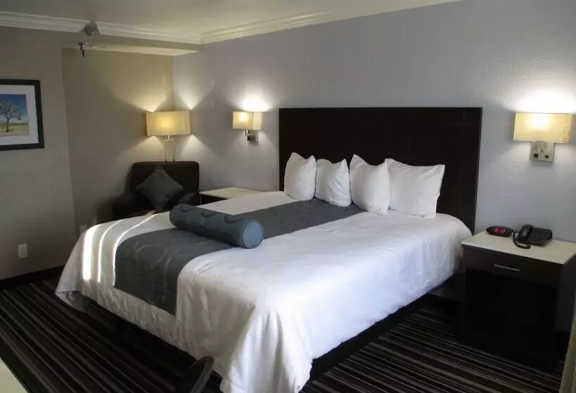 מוטל Best Western Plus Diamond Valley Inn
