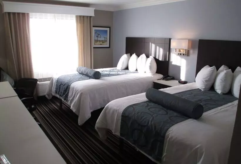 מוטל Best Western Plus Diamond Valley Inn