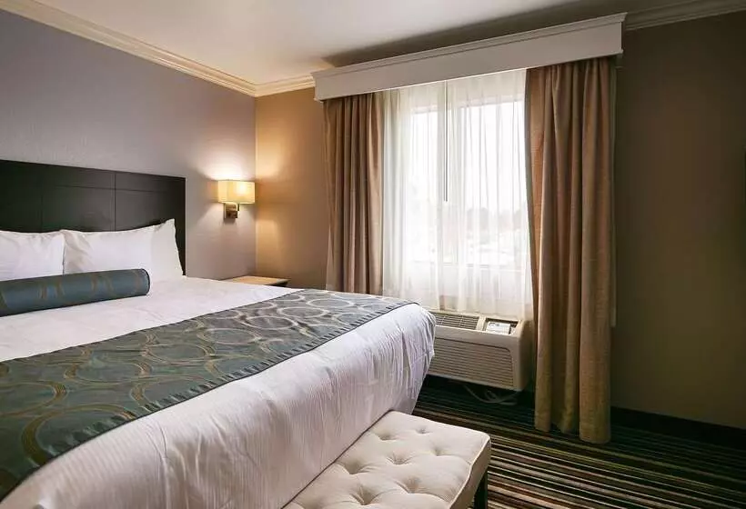 מוטל Best Western Plus Diamond Valley Inn
