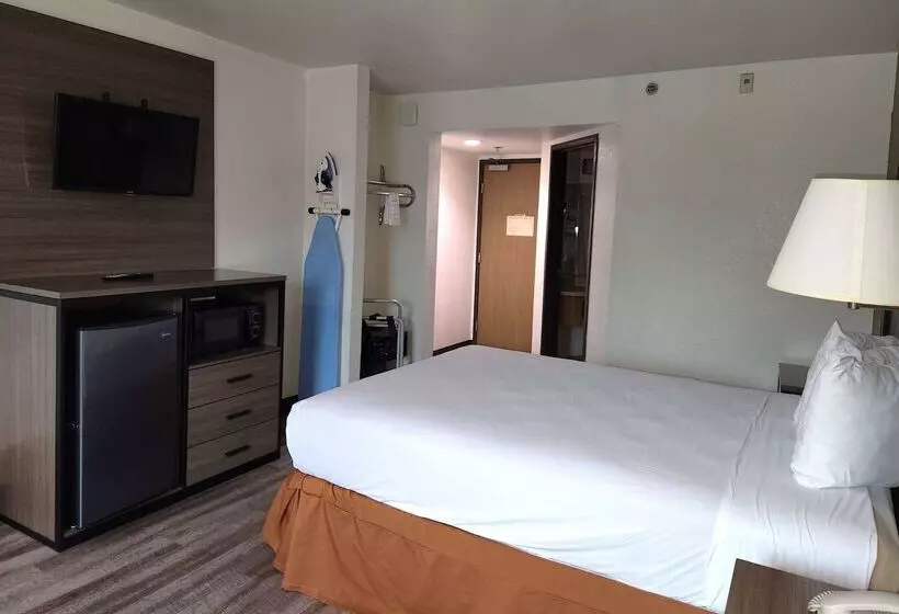 מוטל Super 8 By Wyndham Austin North/university Area