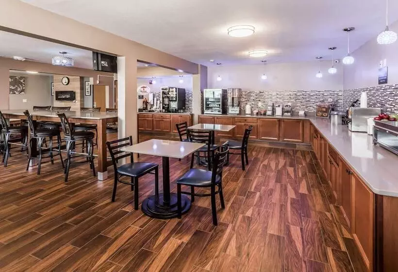 モーテル Super 8 By Wyndham Iowa City/coralville